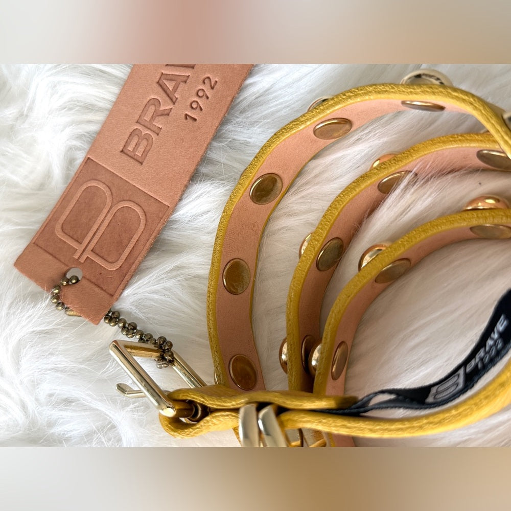 🇨🇦 Brave Leather Collection - Yellow and Rounded Gold Stud Work