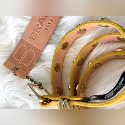 🇨🇦 Brave Leather Collection - Yellow and Rounded Gold Stud Work
