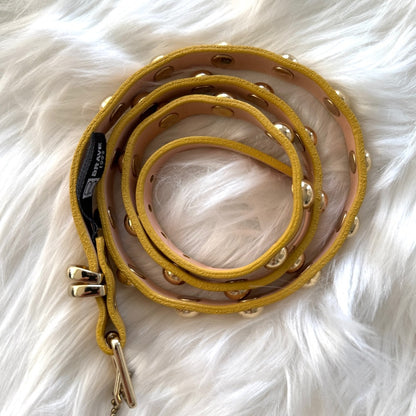 🇨🇦 Brave Leather Collection - Yellow and Rounded Gold Stud Work