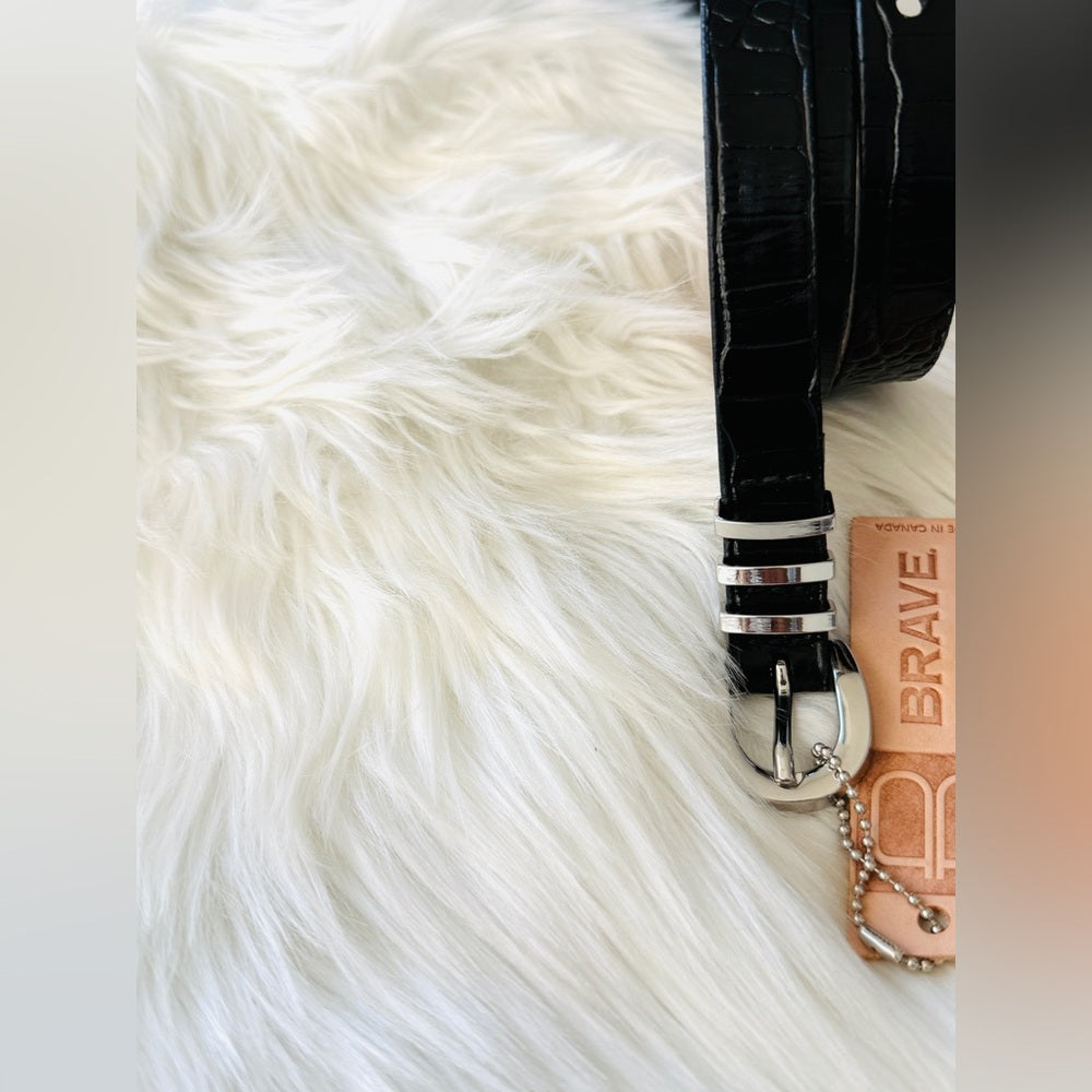 🔎SEARCH BELTS IN CLOSET 🇨🇦 Brave Leather Collection