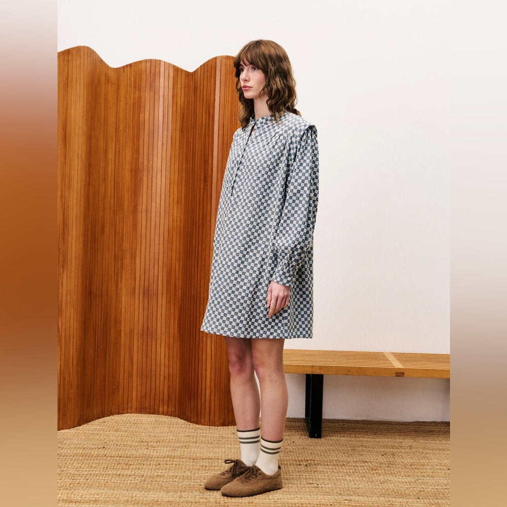 🇫🇷FRNCH - BLUE ALLIUM JEAN DRESS