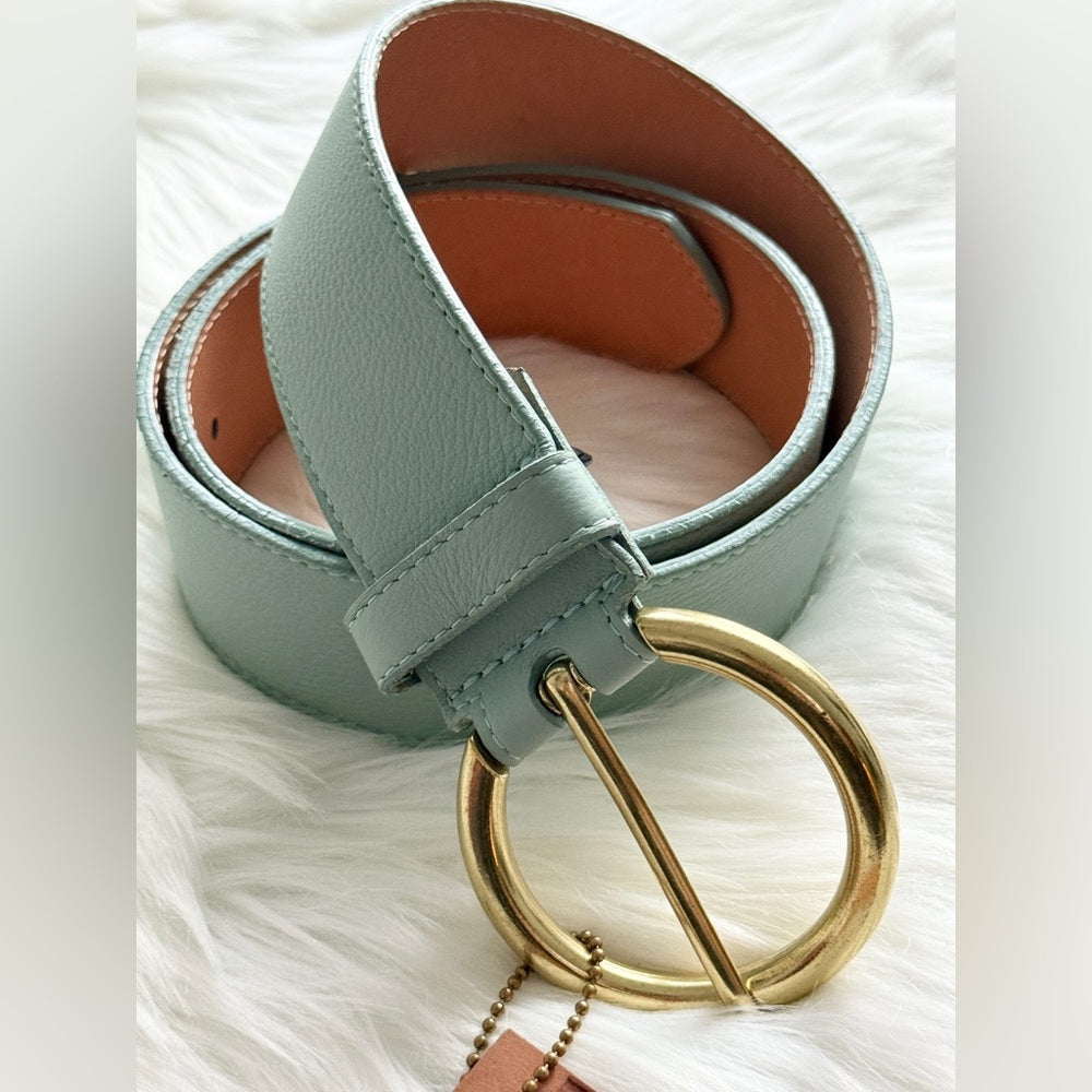 Brave Leather - Seafoam Pebble Leather - VIKA