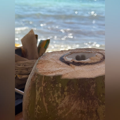 Mexico Trip
